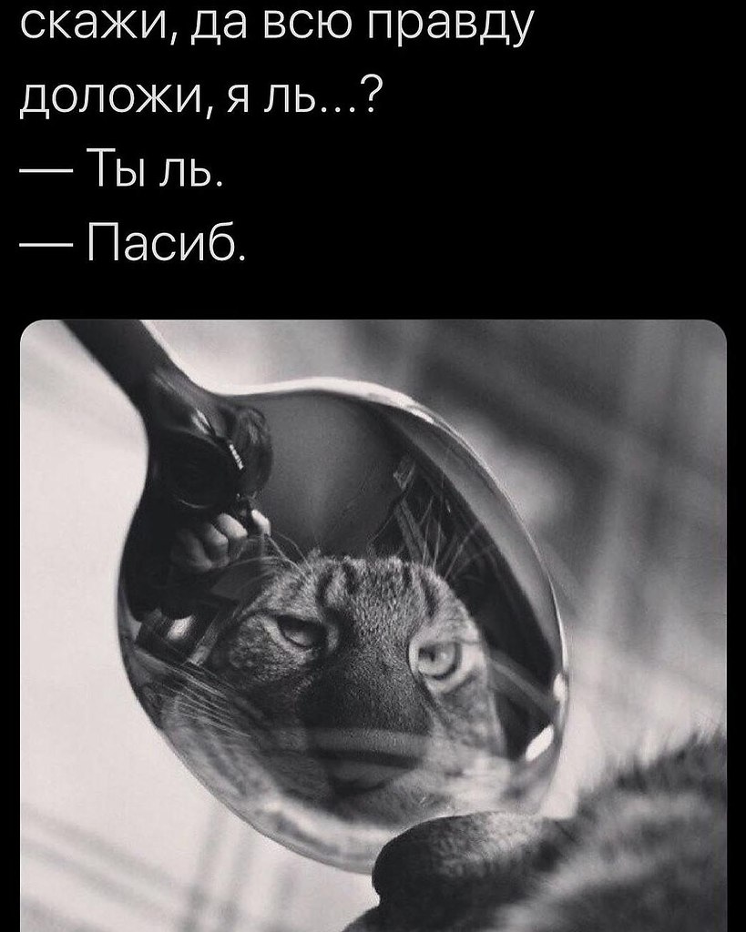 ���� - 4