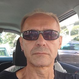 , 61, 