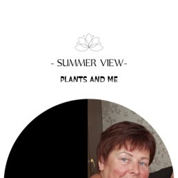 , 55, 