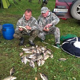 ��������, �����������, 61 ���