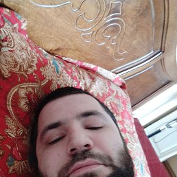 ������, ���������, 31 ���