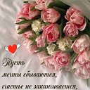 ���� �����, ������, 54 ���� - ��������� 7 ��� 2026 � ������ ���� ����������