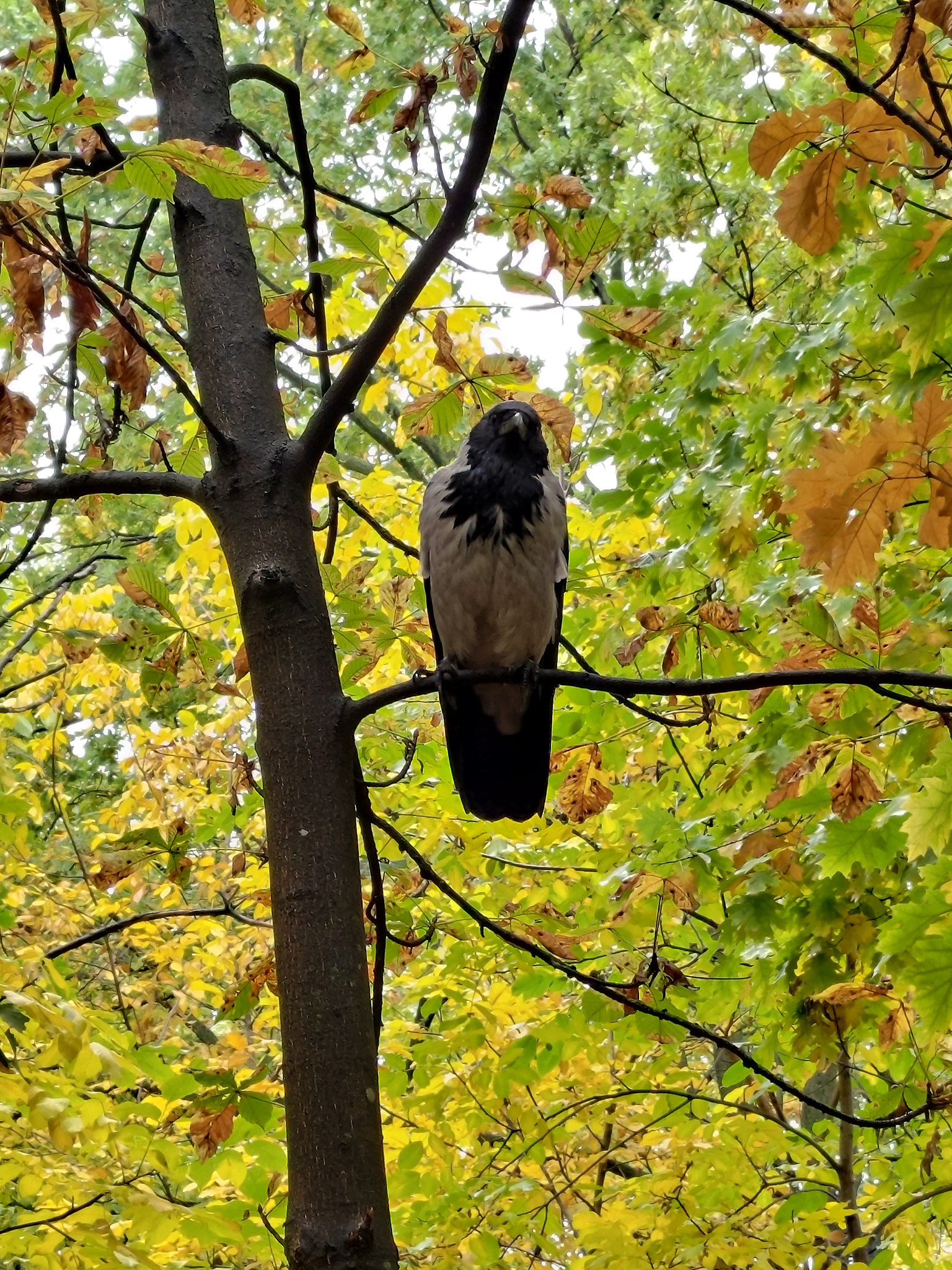 Наталия - 13 октября 2025 в 05:50