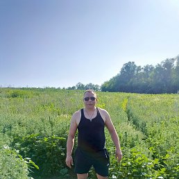 , 38, 