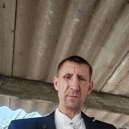 ������, 46 ���, ���������