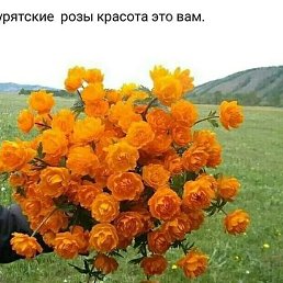 ����, ���������, 25 ���