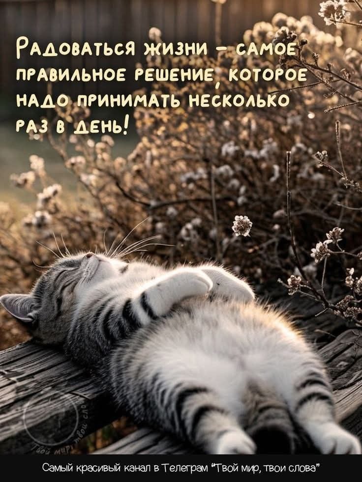 Всё будет хорошо! - 27 августа 2025 в 06:34