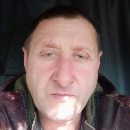 �������, ������, 46 ���