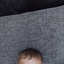 ��������, 40 ���, ����������