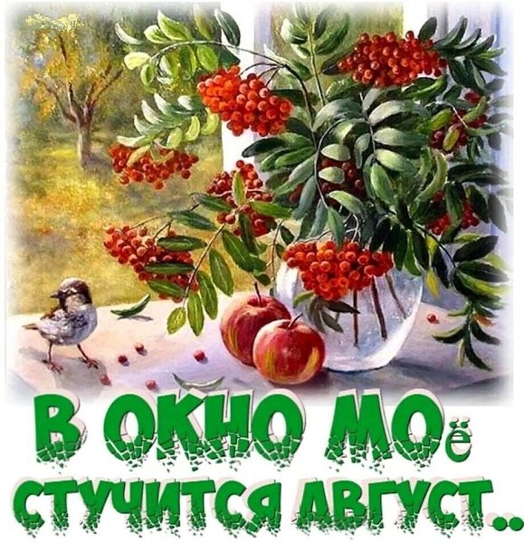   ,    . - 31  2024  10:09