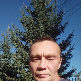 , 49 , 