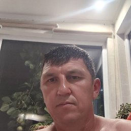 , 48, 