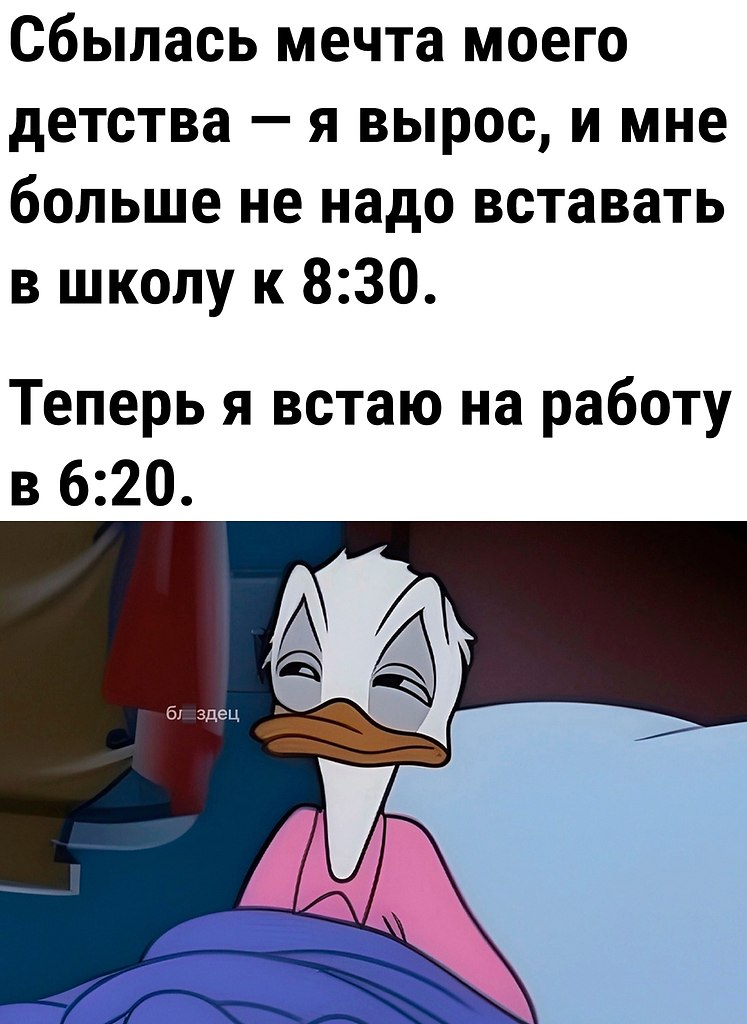  - 24  2024  17:05