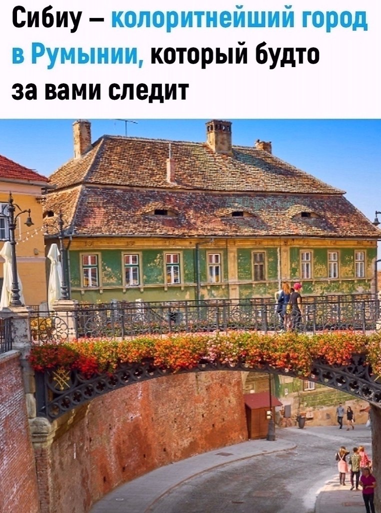  - 31  2025  13:03