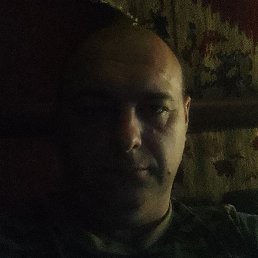 , , 50 