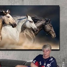 ��������, ����, 59 ���