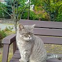 ���� ���������, ������, 46 ��� - ��������� 31 ������� 2023 � ������ ���� ����������