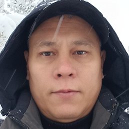 ������, ������, 42 ����