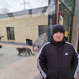  , 41, 