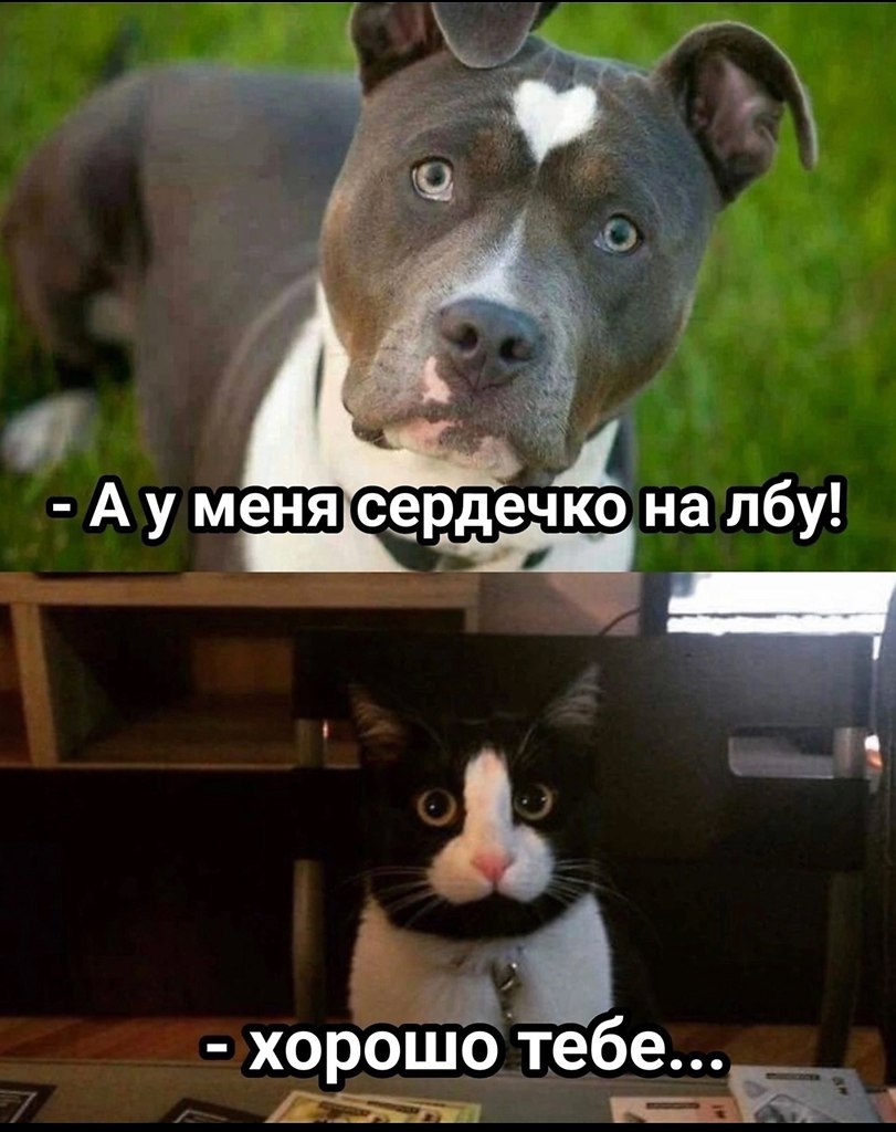 Лучше уж с сердечком на лбу