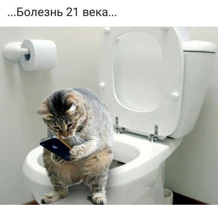 ? ,  ! - 28  2025  08:41