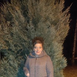 ���� ������� ���������, ������ - ��������� 29 ������� 2025