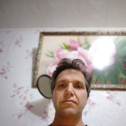 ���� �������, ���, 46 ��� - ��������� 29 ����� 2026