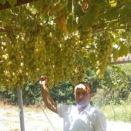 ����, 39 ���, ���������