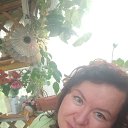 ���� �����, �����-���������, 41 ��� - ��������� 10 ������ 2024 � ������ ���� ����������