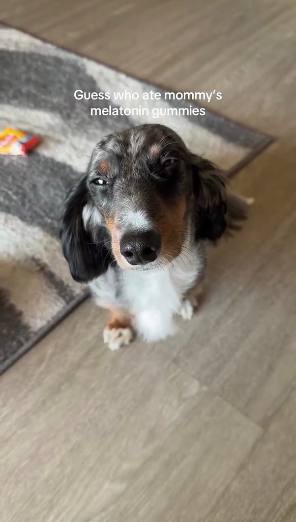 �e����a pacc�a�a�a, ��o e� �c �a��� ��a�o��� �ap�e�a�a c �e�a�o���o�. �e��epo�o��� c�e� �c� ... - 7