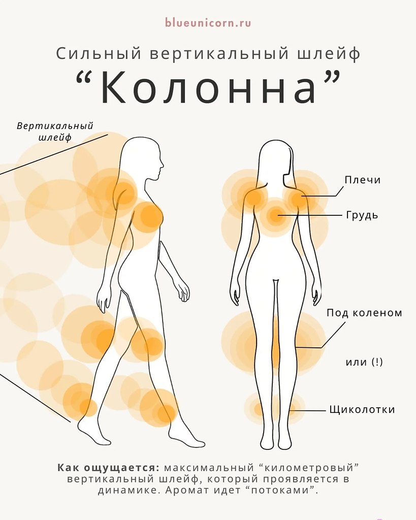 Схемы распыления ароматов - 5 типов шлейфов, сохраняйте! - 3