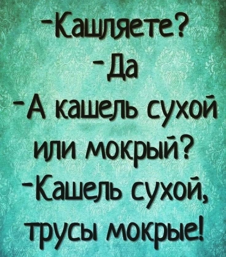   - 11  2024  12:16