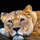 ���� �������, ������, 43 ���� - ��������� 17 ������� 2025