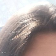 �����, 41 ���, �����������