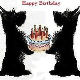 ������, ������, 37 ���