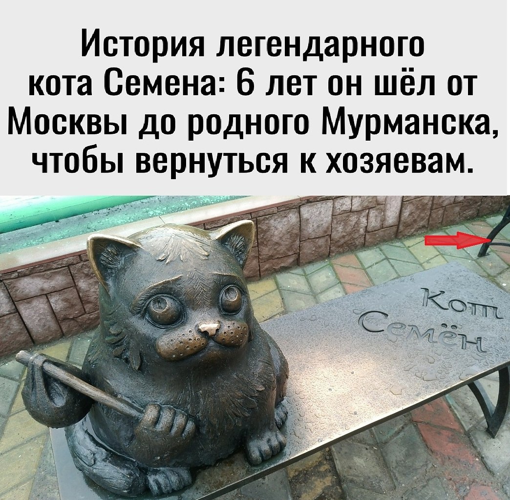   : 6        ,    !  ...