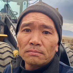 �����, ������, 44 ����