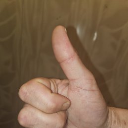 ����, �������, 38 ���