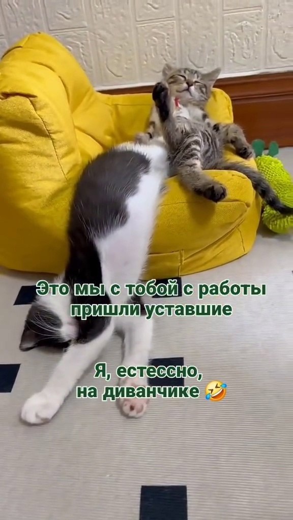  )