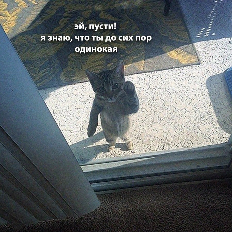    - 17  2024  22:26