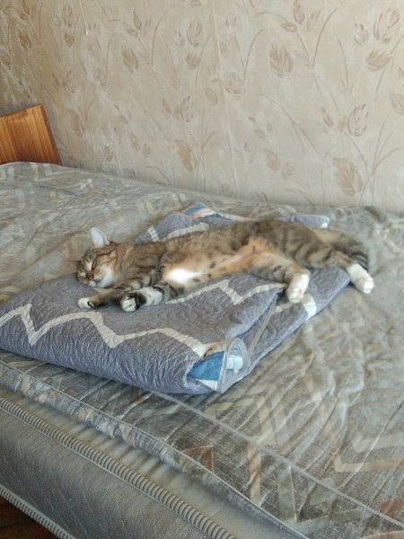 ������� ������ - 9 ������� 2025 � 08:50 - 2