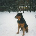  , , 67  -  9  2025    