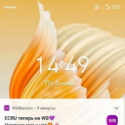 ���� ������, ������, 63 ���� - ��������� 5 ������ 2023