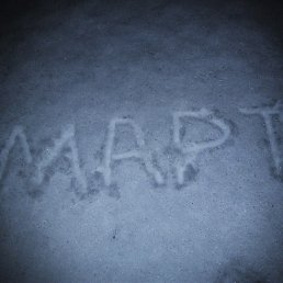 *����, ������