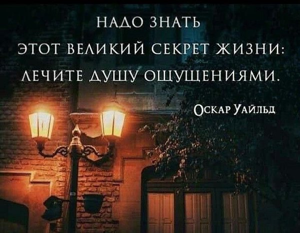   - 11  2024  13:06