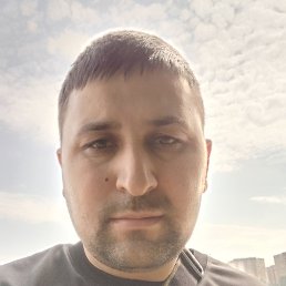 , 33, 