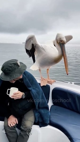��� � ���-�� � ��������� � ������� �� ����� - 2