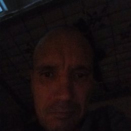 , 41 , 