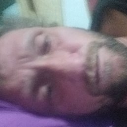 , 41, 