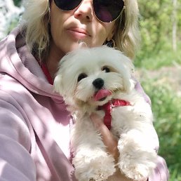 ����, ���������, 56 ���